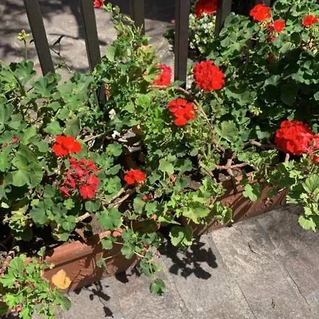 I Due Ulivi Apartmán